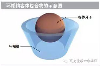 瓦克資訊